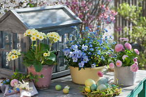 Arrangement with primrose, horned violet, forget-me-not and daisies, Easter eggs in a wicker wreath