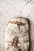 Stone oven bread on a stone slab