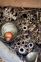 DIY insect hotel made from plant stalks in tin cans