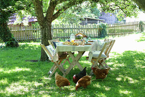 Table set for Easter meal in garden with hens in foreground