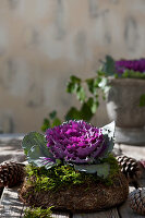 Autumnal arrangement of red ornamental cabbage in nest and pine cones