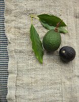 Green and black avocado on a linen cloth