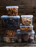 Freshly picked wild mushrooms in storage boxes