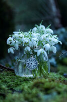 Posy of snowdrops in vintage-style glass vase on moss