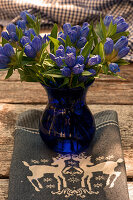 Closed Gentiana as a bouquet in a glass vase