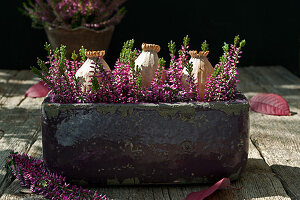 Arrangement of budding heather and poppy pods