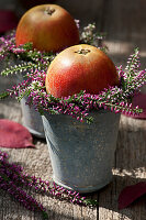 Apples in a wreath of budding heather