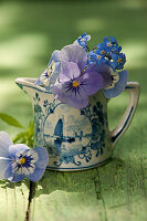 Blüten von Hornveilchen und Vergißmeinnicht in Keramikkännchen