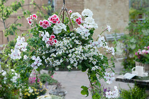 Hanging basket with geraniums 'Happy Face White', 'Flower Fairy White Splash' and Snowflake 'Big White'