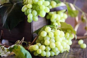 An arrangement of green grapes