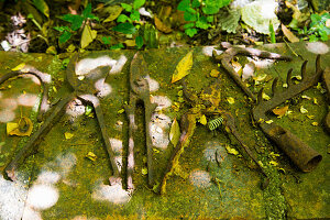 Vintage garden tools on mossy stone