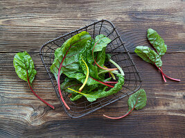 Young beet leaves