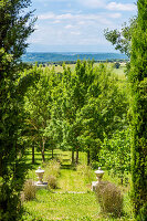 Sunny garden with trees