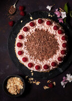 Chocolate and raspberry Dacquoise cake