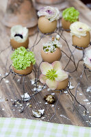 Spring flowers in eggshells in small wire holders