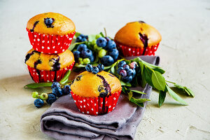 Wild blueberry muffins with fresh berries