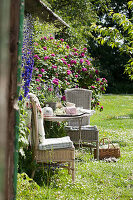 Romantic seating area next to roses and delphiniums in garden