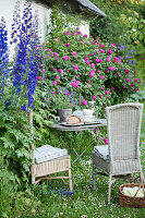 Romantic seating area next to roses and delphiniums in garden