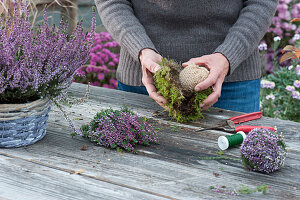 Tying a heather ball from budding heather and moss