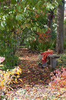 Buntes Herbstlaub auf schattigem Weg zwischen Bäumen, Holzbank mit Fell und Decke als Sitzplatz