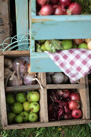 Wooden box with onions, green apples, and garlic