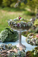 Herbstkranz aus Moos, Hortensienblüten, Rosenkohl und Zwiebel auf silberner Schale mit Fuß