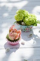 Kleine Frühlingsdekoration mit Hortensienblüten und gefüllter Tulpe in Muffinförmchen