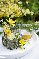 Körbchen mit Frühlingsblüten: Hornveilchen, Narzisse, Vergißmeinnicht, Maiglöckchen und Hahnenfuß