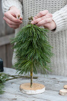 Tinker little trees for Christmas table decorations