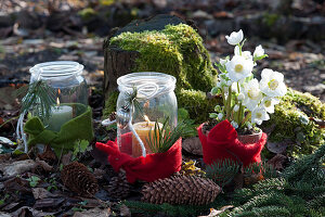 Christmas rose and lanterns wrapped with felt, tree stump with moss, pinecones as decoration