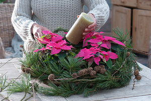 Wreath with poinsettias and conifer branches