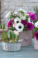 Spring bouquet of anemones and ranunculus in a small drawer, basket with grape hyacinths