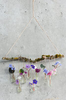Hanging flower tableau on a branch: African violet blossoms in small vials as wall decoration