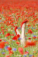Damenbeine mit roten Pumps in Blumenwiese mit Klatschmohn und Kornblumen