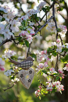Schwälbchen und Herz aus Holz in blühendem Apfelbaum