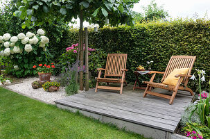 Liegestühle auf Holzdeck an der Hecke, Ulme als Schattenspender und Hortensien, Topf mit Geranie, Lavendel im Kies