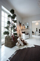 Decorated tree in a basket and Christmas presents in the living room with white wooden floor