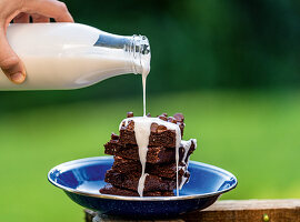 Super fast breakfast brownies