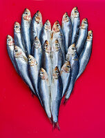 Sprats in heart shape