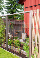 Trellis in a sunny garden