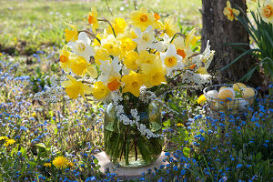 Easter bouquet of daffodils and Bridal Wreath Spirea in the flower bed with forget-me-nots, with an Easter basket in the background