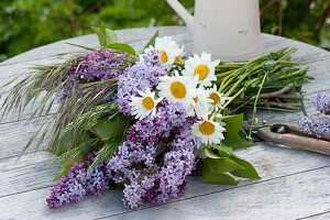 Ingredients for a bouquet of lilac and daisies with grass