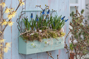 Wall hanging box with grape hyacinths, twigs, moss, grasses, and eggshells as hanging Easter decoration