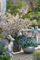 Easter terrace with ornamental cherry 'Kojo-no-mai' underplanted with pansies Ruffles 'Purple White Rim', forget-me-not 'Myomark' in a silver planter, silver Easter bunny and Easter egg