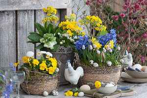 Easter arrangement with hyacinths, primroses, grape hyacinths, daffodils, horned violets, Tausendschon Roses, and primrose in baskets and pot, Easter eggs, and ceramic chicken