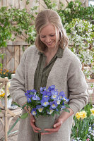 Woman with horned violet 'Blue Moon' in a zinc pot