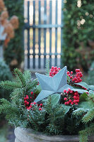 Galvanized Christmas star with sparkling berries and fir branches
