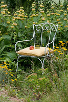 Chair in the flowerbed amongst Turkish sage, swordleaf inula and golden marguerite