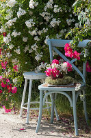 Stuhl und Hocker am Beet mit Büschelrose, Strauß aus Rosen 'Scharlachglut' und Büschelrose in Graskranz