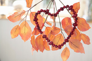 Rose hip heart on artificial branch with autumn leaves